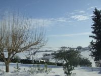 Schnee im Februar 2012